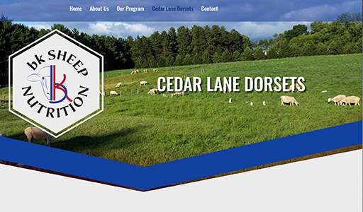 Cedar Lane Dorsets